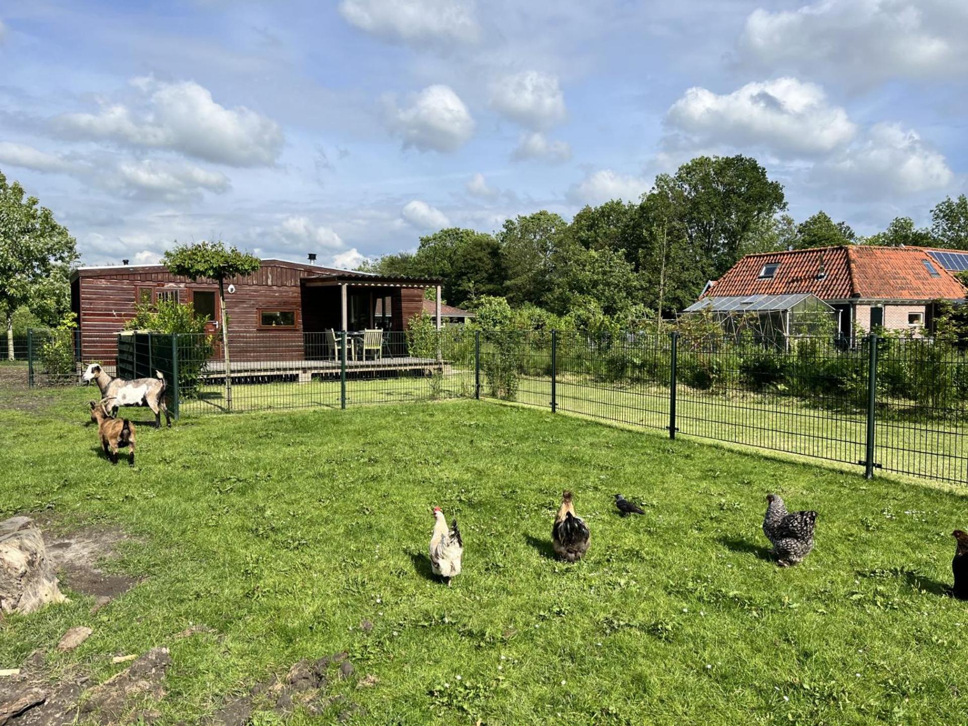 Vrijstaand Chalet Met Veel Buitenruimte En Veranda Zuid-Scharwoude Luaran gambar